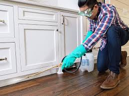 Best Residential Pest Control  in Sedgwick, KS